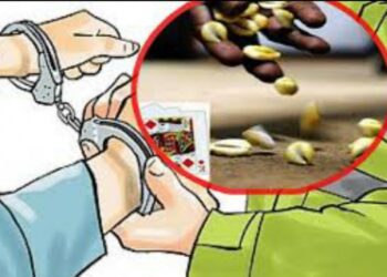 कौडा खेलिरहेको अवस्थामा १५ जुवाडे पक्राउ