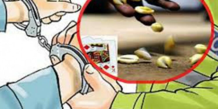 कौडा खेलिरहेको अवस्थामा १५ जुवाडे पक्राउ
