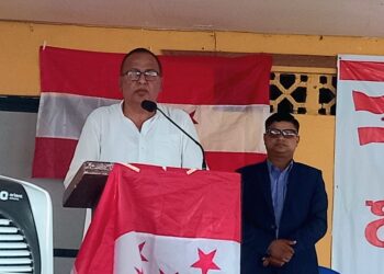 व्यक्तिगत स्वार्थले पार्टी कमजोर हुन्छ : भण्डारी