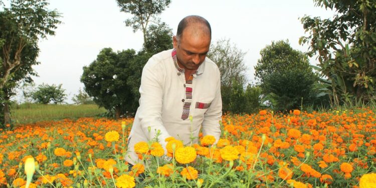 फुलखेतीमा लोभिएका गोविन्द (भिडियो सहित)