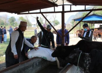 सहकारीको स्थापना दिवसमा गौं संरक्षण केन्द्रमा सहयोग