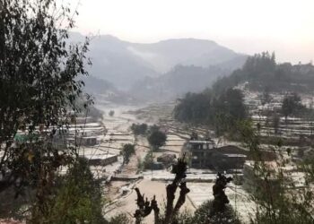 भारी असिना पानीले कृषि क्षेत्रमा क्षति