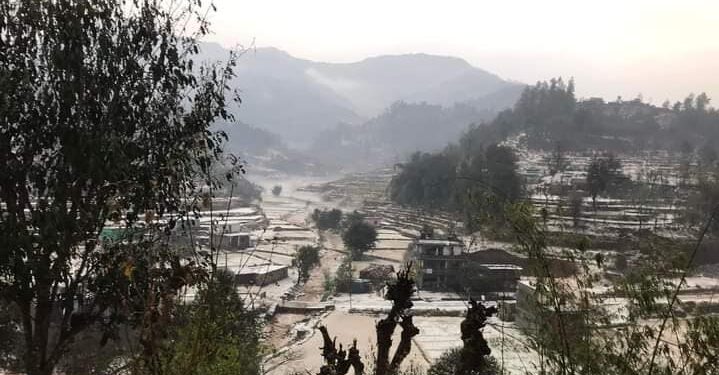भारी असिना पानीले कृषि क्षेत्रमा क्षति