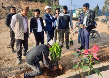 घिरिङमा एक कर्मचारी एक बिरुवा रोपण कार्यक्रम