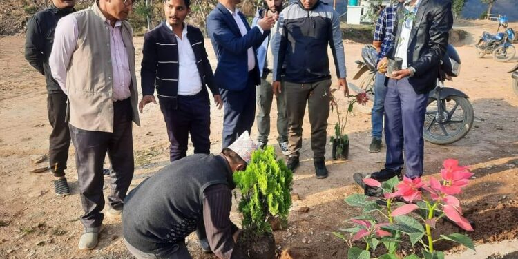घिरिङमा एक कर्मचारी एक बिरुवा रोपण कार्यक्रम