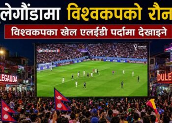 विश्वकपको अन्तिम तिन खेल दुलेगौंडामा हेर्न सकिने