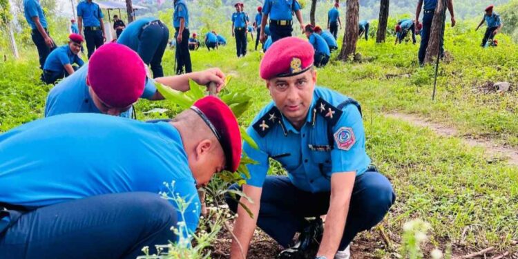 नेपाल प्रहरी विशेष सुरक्षा गणमा वृक्षारोपण