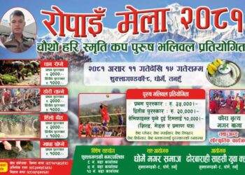 घाेर्मेमा राेपाइँ मेला हुदै