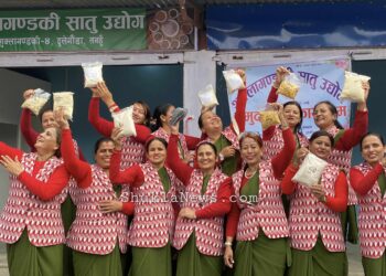 दुलेगौंडामा सातु अद्योग सञ्चालन