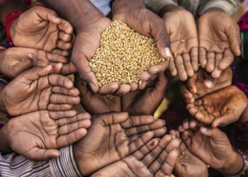 विश्वमा ७८ करोड मानिस भोकमरीको चपेटामा