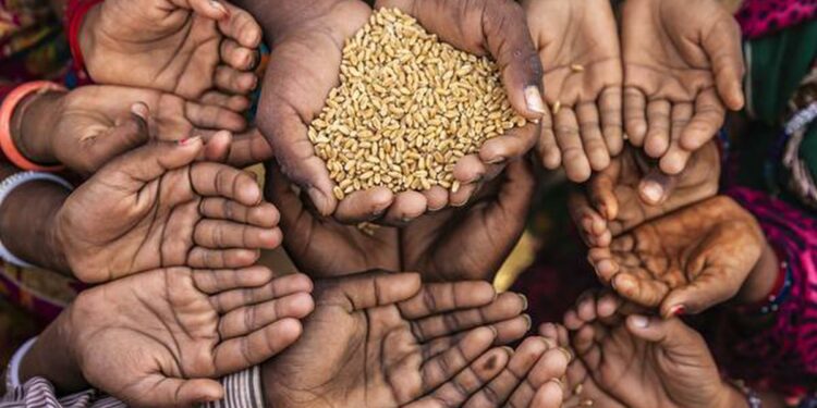 विश्वमा ७८ करोड मानिस भोकमरीको चपेटामा
