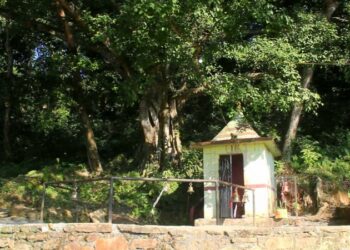ओझेलमा परेको भुलभुले