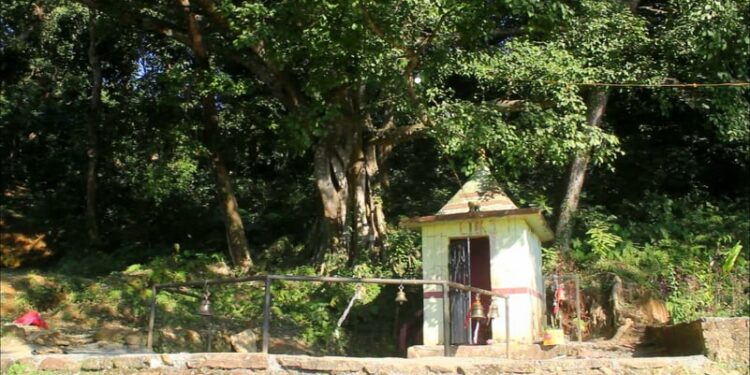 ओझेलमा परेको भुलभुले