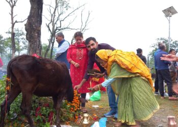 गौं संरक्षण केन्द्रमा वृहत गाई पुजा