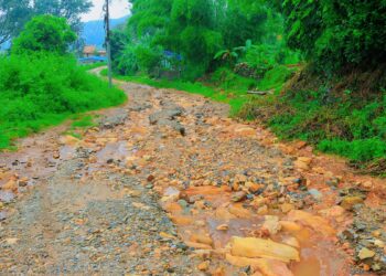 तीजगीतमा हर्कपुर मोटर मार्ग प्रमुख विषय