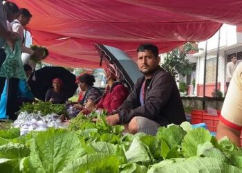 दमौलीमा आजदेखि सुरु भयो बुधबारे हाटबजार