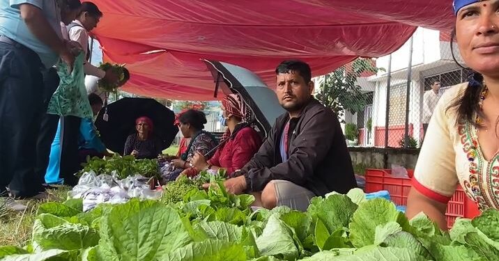 दमौलीमा आजदेखि सुरु भयो बुधबारे हाटबजार