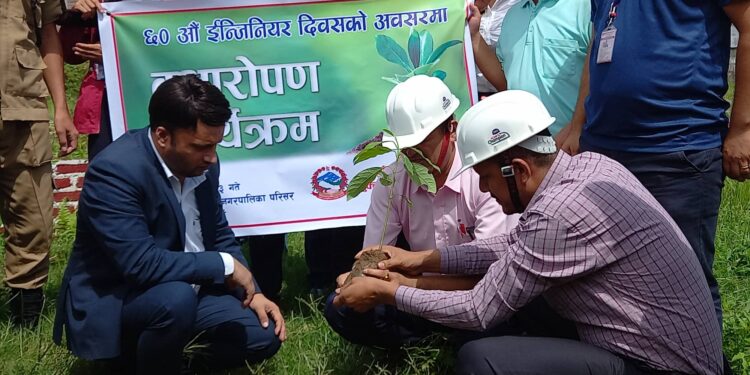 ईन्जिनियर दिवसमा वृक्षारोपण