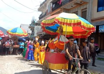 दुलेगौंडामा पनि निकालियो कृष्ण जात्रा