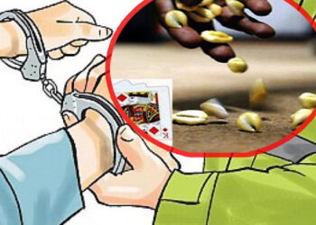 हलेदीमा कौडा खेलिरहेका १३ जना पक्राउ