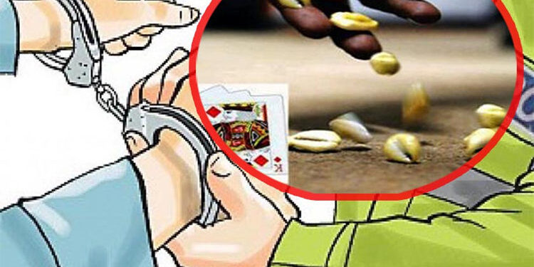हलेदीमा कौडा खेलिरहेका १३ जना पक्राउ