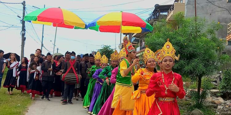 दुलेगौंडामा निकालियो कृष्ण जात्रा (फोटो सहित)