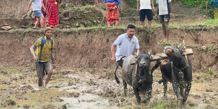लायन्सकोको धान दिवस