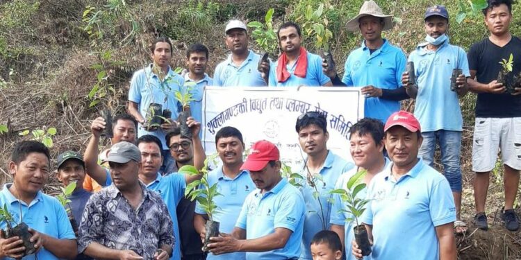 पानीको मुहान संरक्षणका लागि वृक्षारोपण
