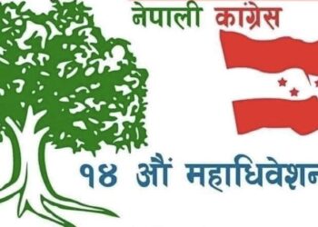 नेका तनहुँ क्षेत्र नं २ को महाधिबेशन प्रतिनिधिमा  मिश्रित नतिजा