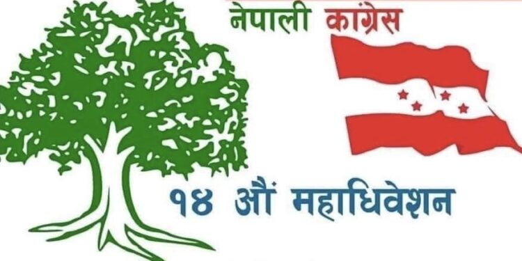 नेका तनहुँ क्षेत्र नं २ को महाधिबेशन प्रतिनिधिमा  मिश्रित नतिजा