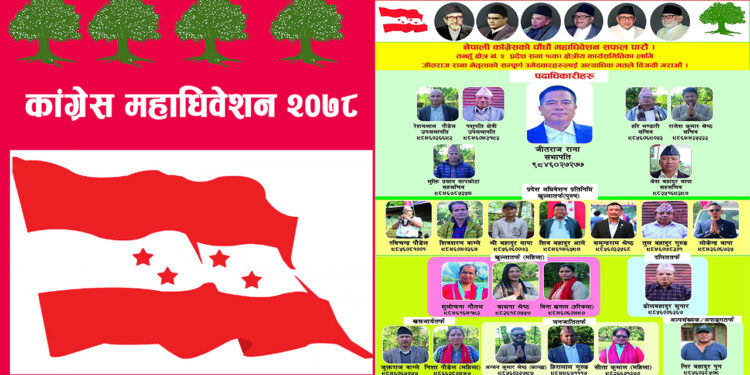 कांग्रेस तनहुँ क्षेत्र नं २ प्रदेश सभा १ मा जितराज रानाको प्यानल नै बिजयी