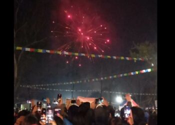 पोखरामा सडकबाटै नयाँ वर्षको भव्य स्वागत