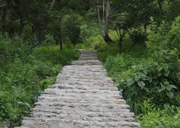 मिलेनियम ट्र्याकमा सिँढी बाटो निर्माण