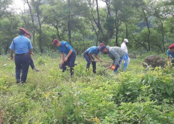 गौं संरक्षण केन्द्रमा विरुवाको गोडमेल कार्य सुरु