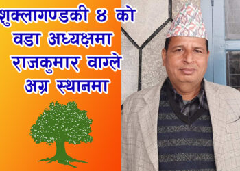 राजकुमार वाग्लेको फराकिलो अग्रता