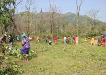 शनिबार गौं संरक्षण केन्द्रमा वृहत सरसफाइ हुदैं
