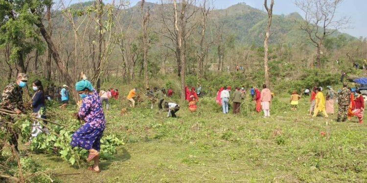 शनिबार गौं संरक्षण केन्द्रमा वृहत सरसफाइ हुदैं