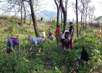 गौं संरक्षण केन्द्रमा स्थानीयले गरे श्रमदान