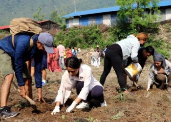 गौं संरक्षण केन्द्रमा घाँस रोपियो