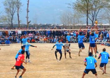 पालिकास्तरीय भलिवलको उपाधि विरुवालाई