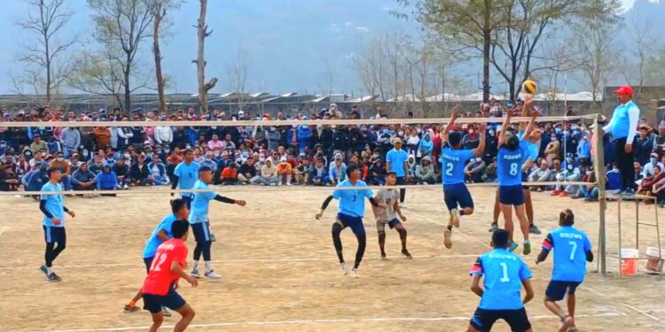 पालिकास्तरीय भलिवलको उपाधि विरुवालाई